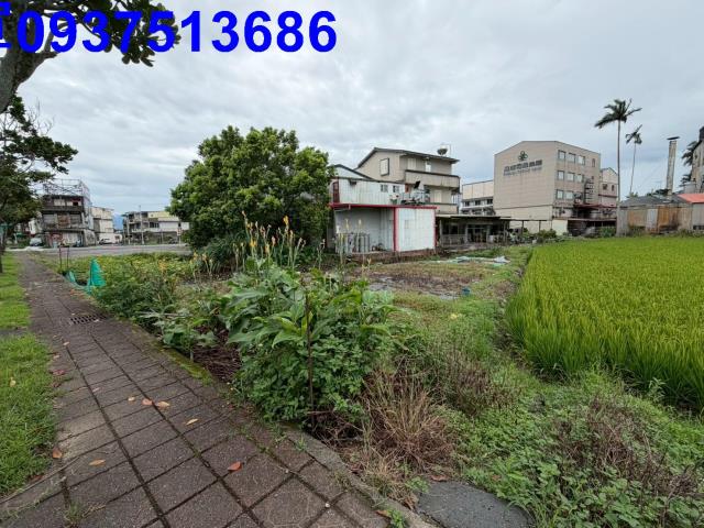 宜蘭縣宜蘭市成功段農地出售