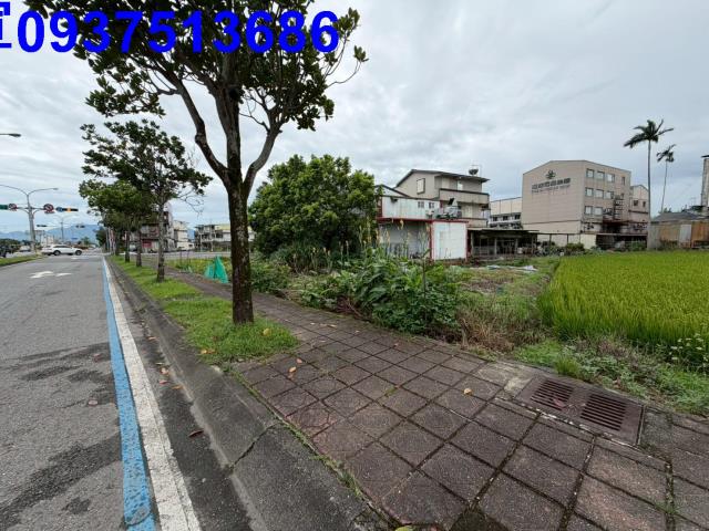 宜蘭宜蘭市農地-4