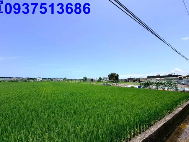 宜蘭縣宜蘭市延平郡王段農地出售