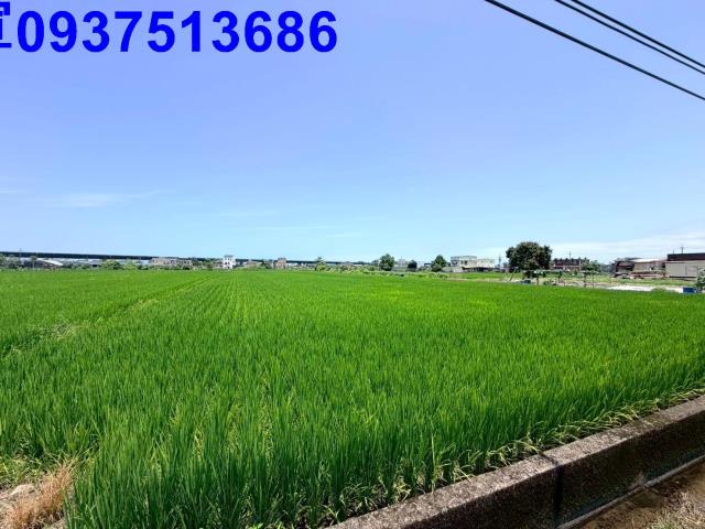 宜蘭宜蘭市農地-2