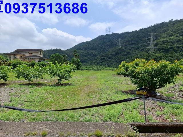 宜蘭縣員山鄉枕山一段農地出售