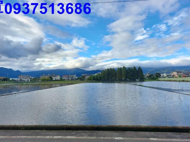 宜蘭縣員山鄉新金山段農地出售