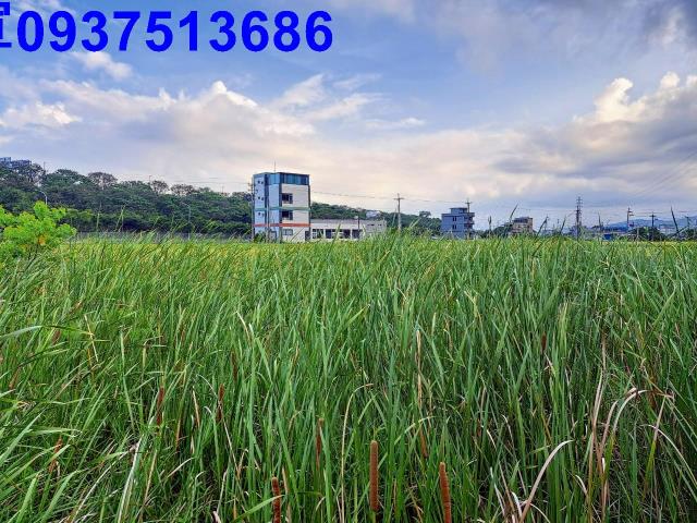 宜蘭礁溪農地-11