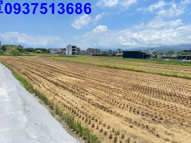 宜蘭礁溪農地-6