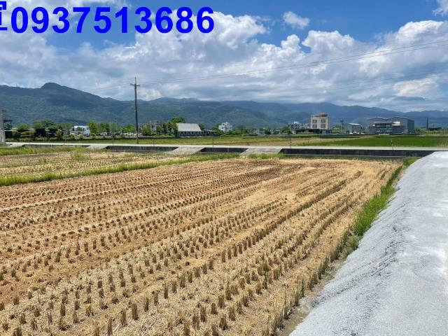 宜蘭礁溪農地-1