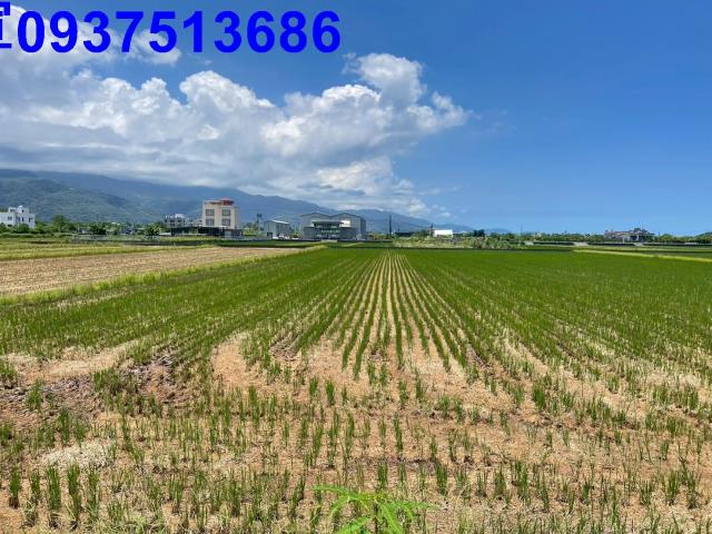 宜蘭礁溪農地-7