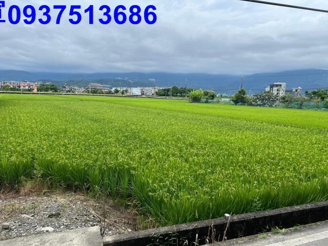 宜蘭縣礁溪鄉實踐一段農地出售
