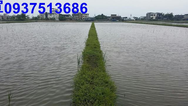 宜蘭礁溪農地-7