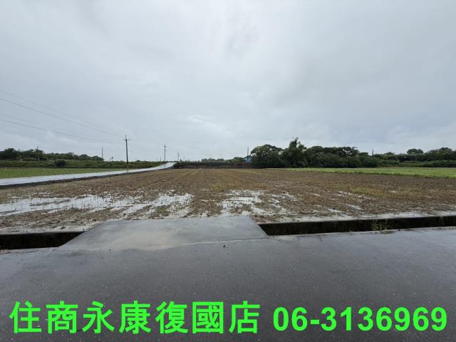 台南善化農地-1