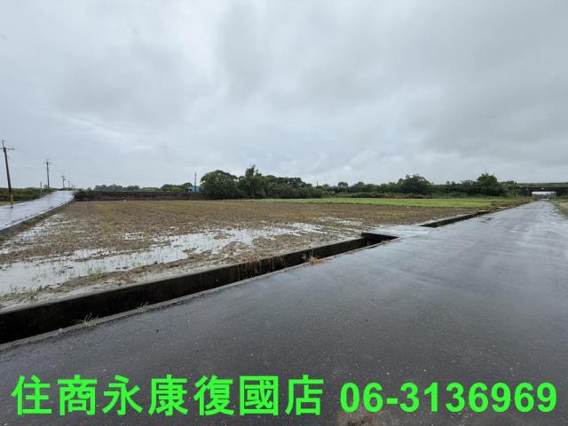 台南善化農地-2