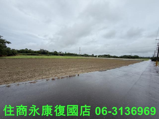 台南善化農地-4