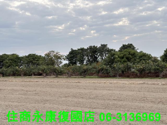 台南歸仁農地-7