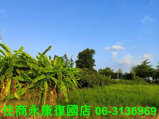 新化農地-4