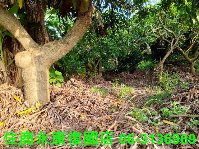 新化農地-9