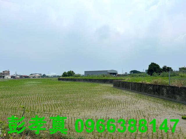 霧峰農地-13