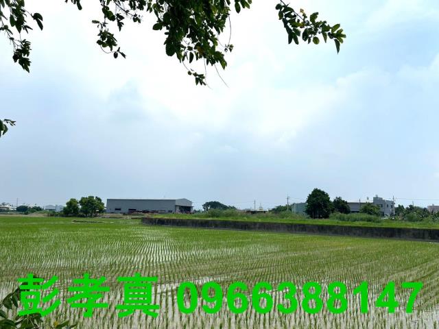 霧峰農地-8