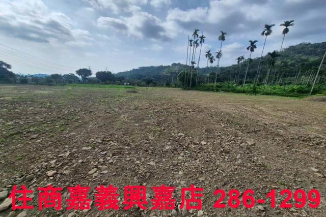 番路農地-11