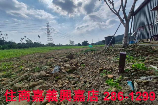 番路農地-5