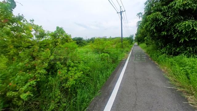 阿蓮農地-8