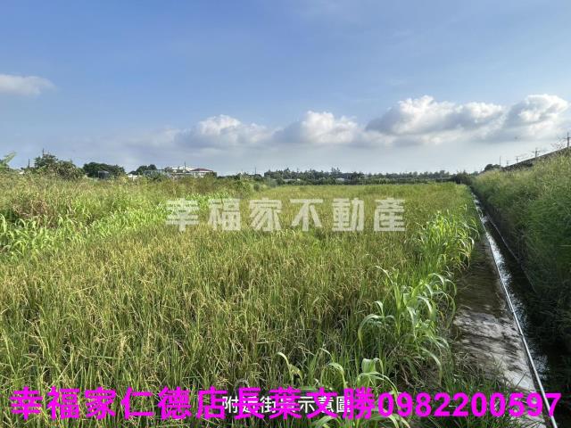 新化農地-15