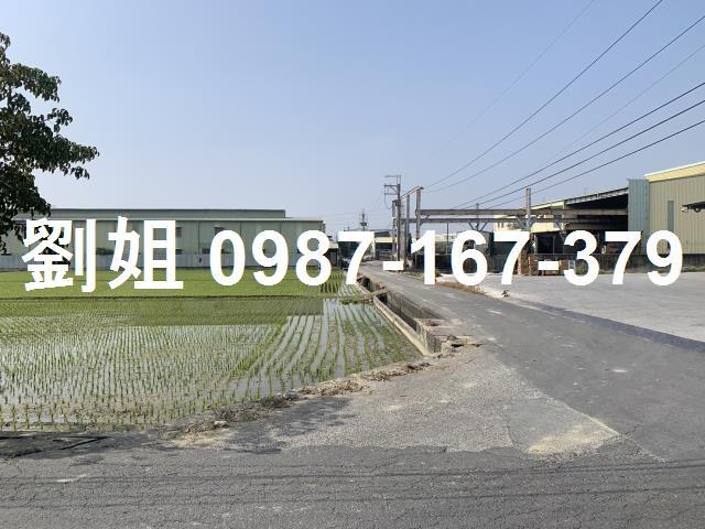 仁武農地-1