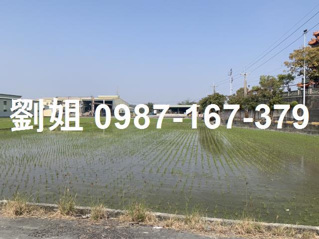 仁武農地-2