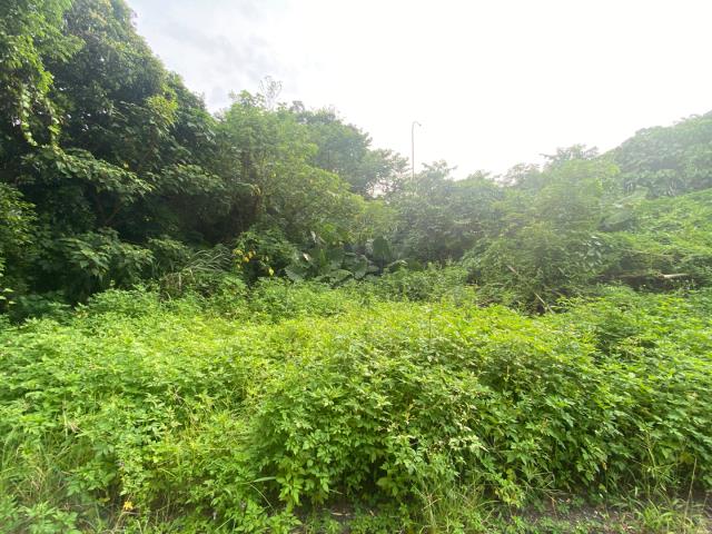 桃園農地_建地_道路地-10