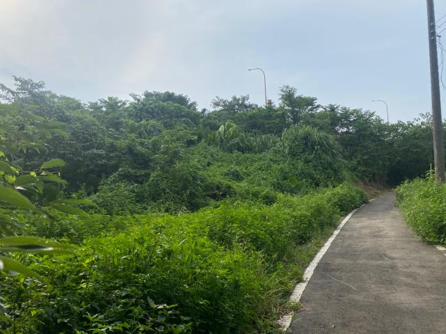 桃園農地_建地_道路地-11