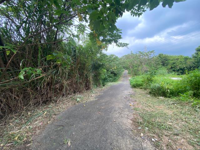 桃園農地_建地_道路地-6