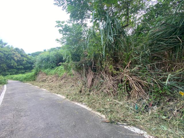 桃園農地_建地_道路地-7