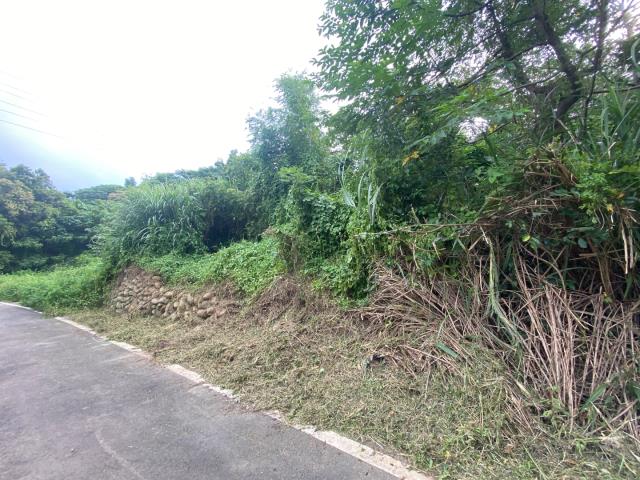 桃園農地_建地_道路地-8