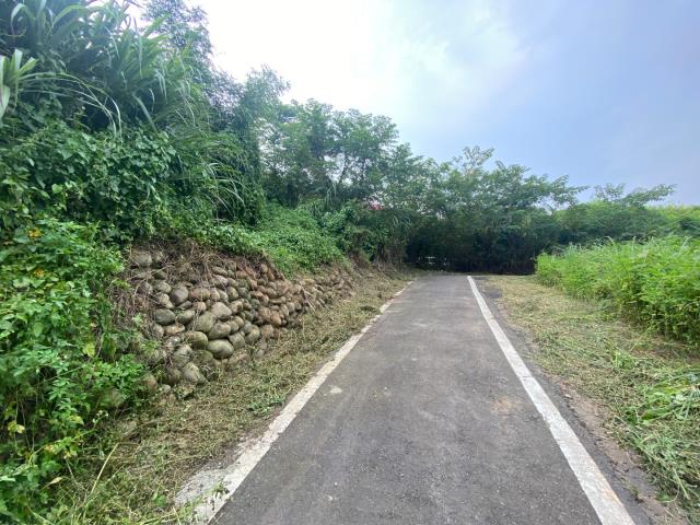 桃園農地_建地_道路地-9