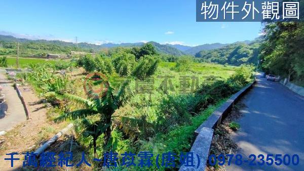 新竹橫山農地_山坡地-13