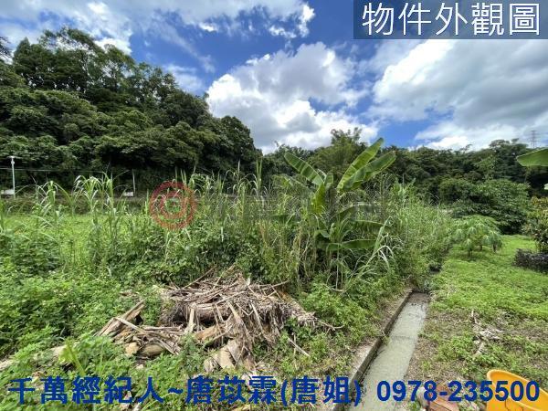 新竹橫山農地_山坡地-4