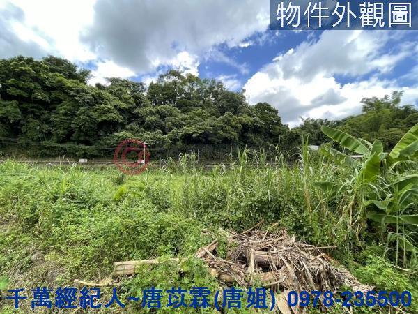 新竹橫山農地_山坡地-5
