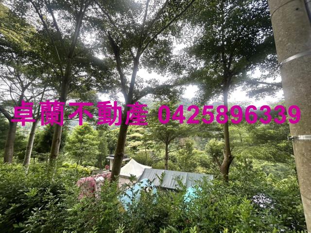 苗栗卓蘭農地-13