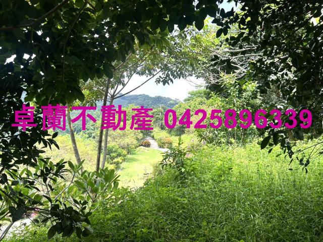 苗栗卓蘭農地-9
