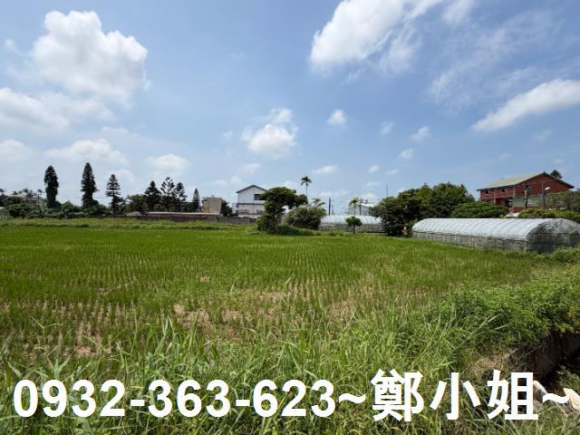 桃園中壢農地-9
