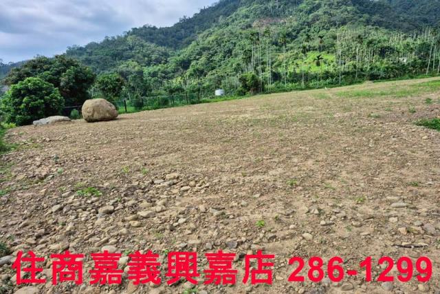 嘉義番路農地_建地-12