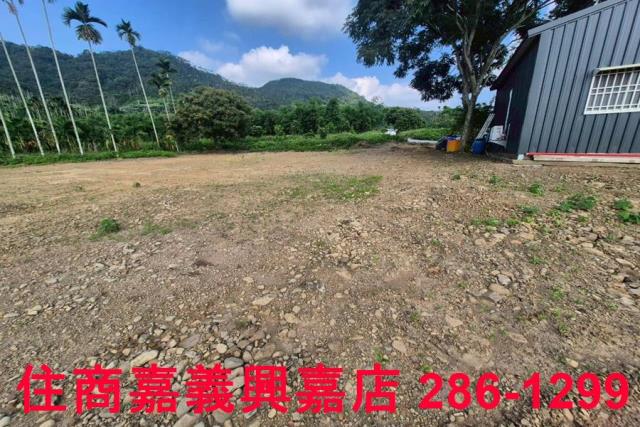 嘉義番路農地_建地-4