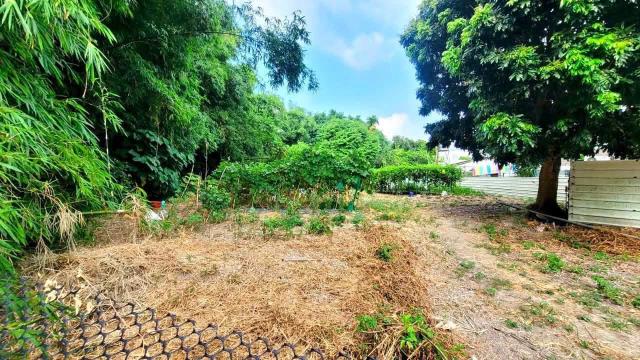 台中神岡農地_建地-2