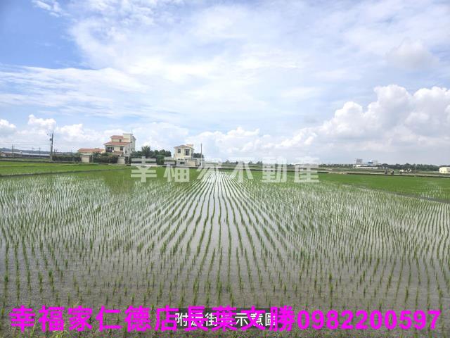 柳營農地-14