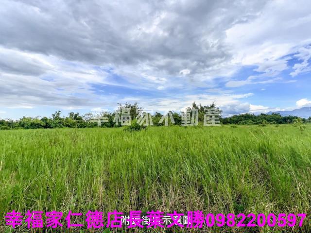 東山農地-11