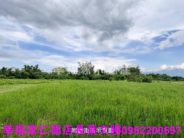 東山農地-3
