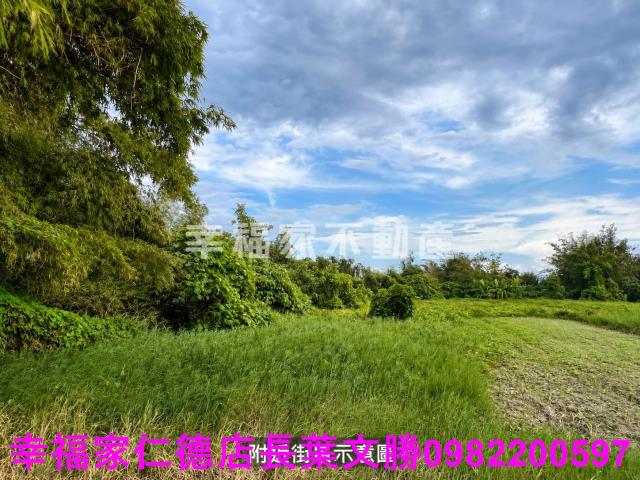 東山農地-4