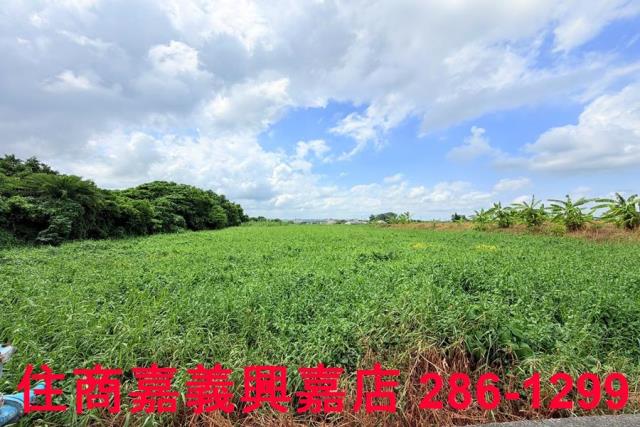 嘉義農地-7