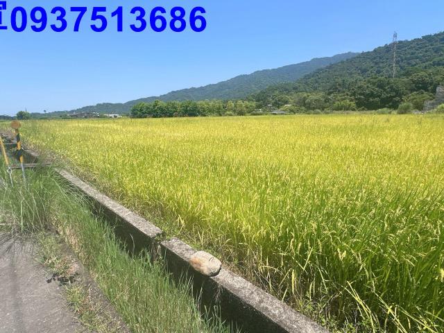 宜蘭農地-13