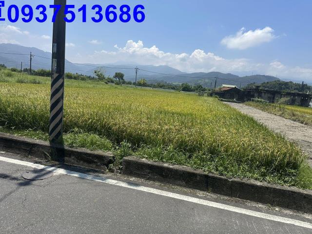 宜蘭農地-15
