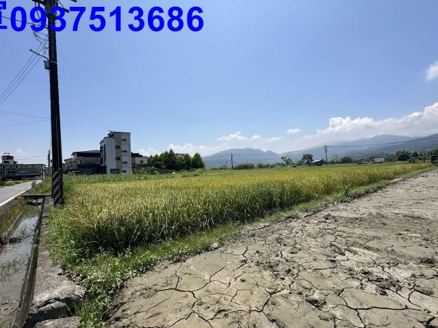 宜蘭農地-2