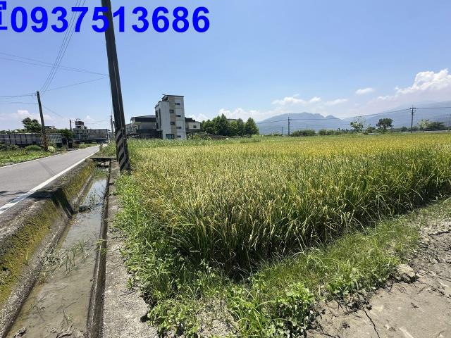 宜蘭農地-3